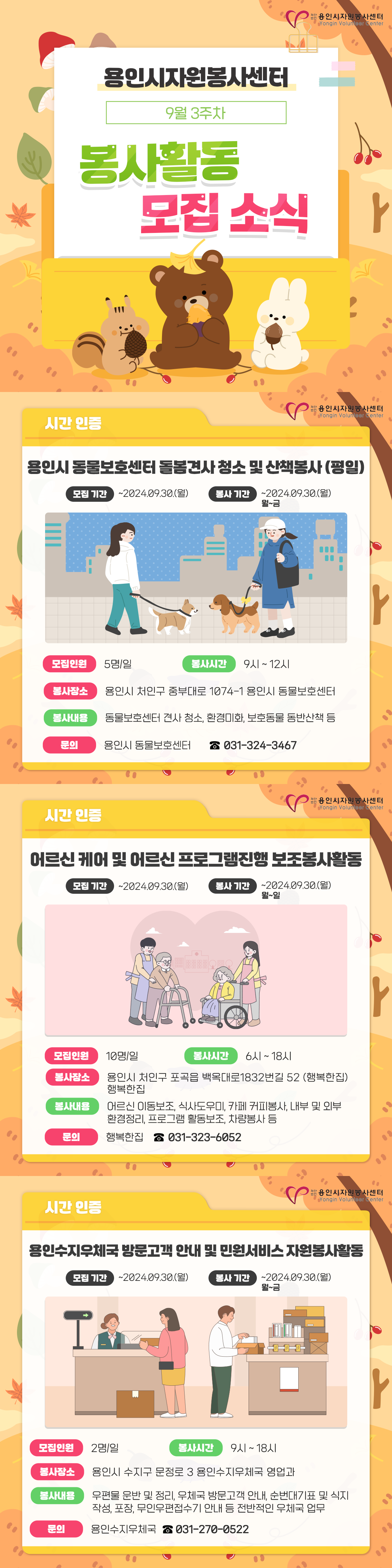 보드 첨부이미지